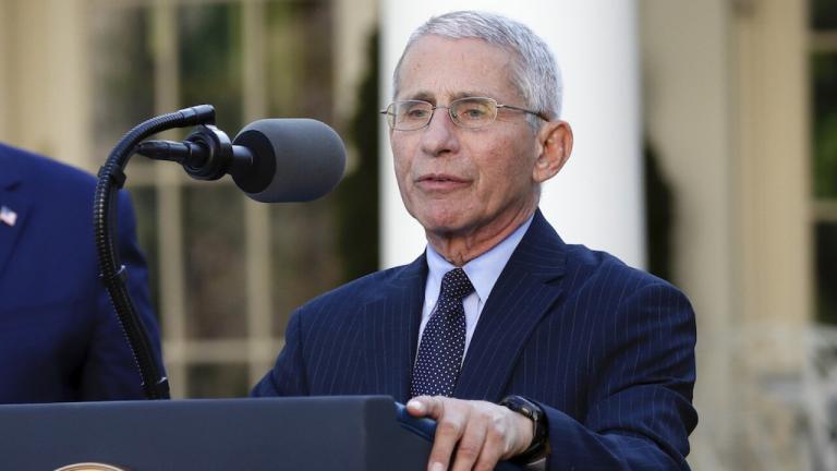 Fauci States They Were Never Told to Slow Down Testing