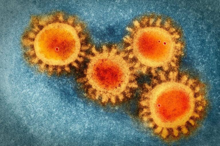 First Confirmed Coronavirus Re-Infection Case in Nevada